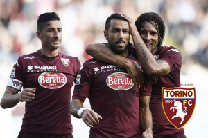 Torino vs Udinese - Serie A Tim 2014/2015