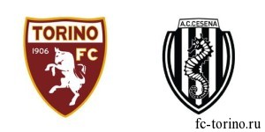 torino-cesena