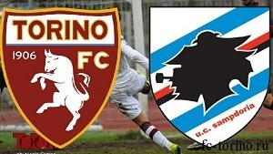 toro-samp